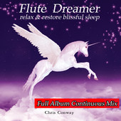 Flute Dreamer continous mix